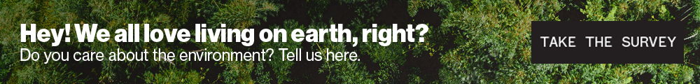 environment vice banner