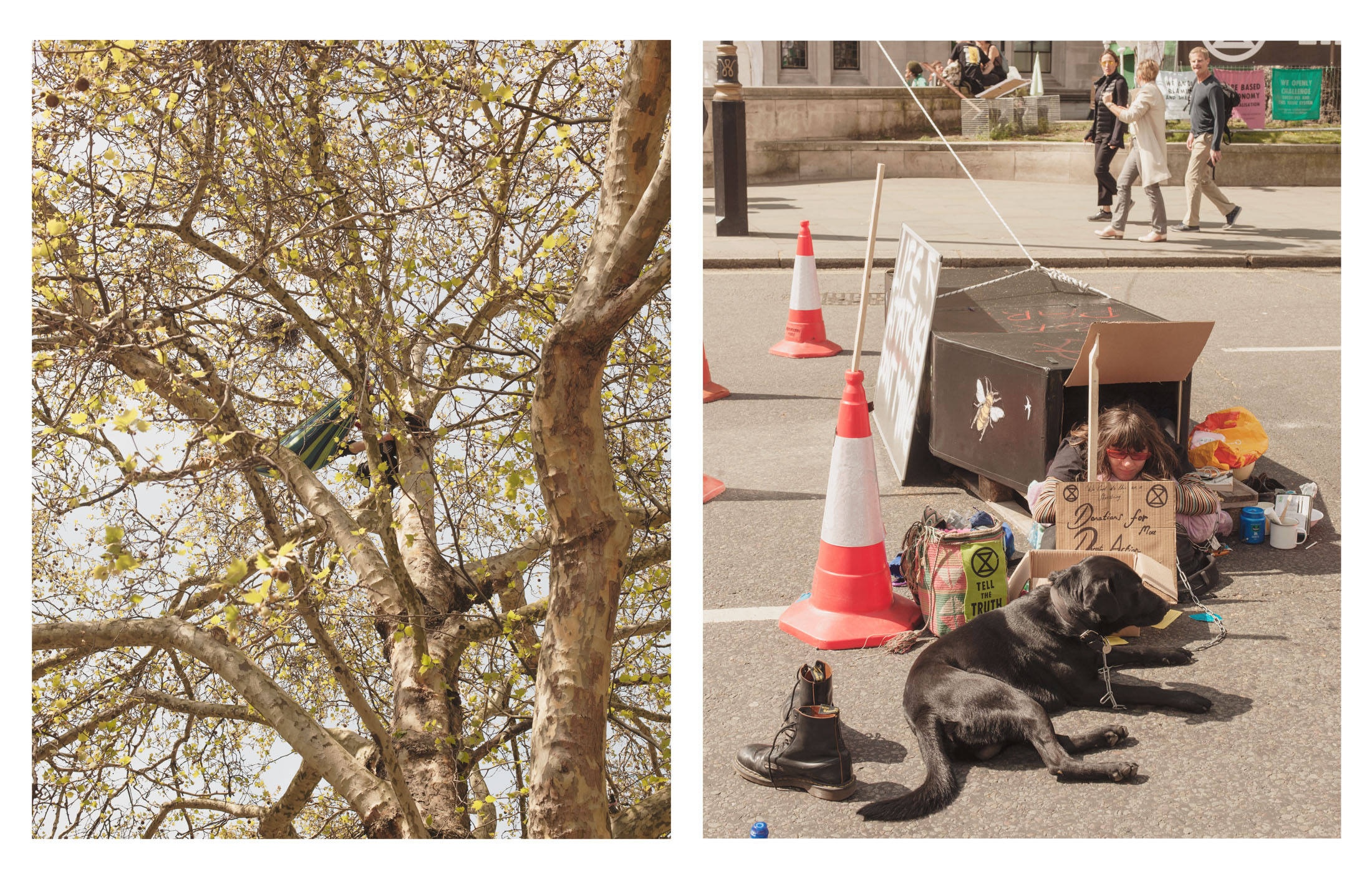 extinction rebellion london