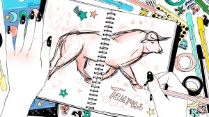 A Taurus sketchbook