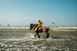 Pescatore a cavallo
