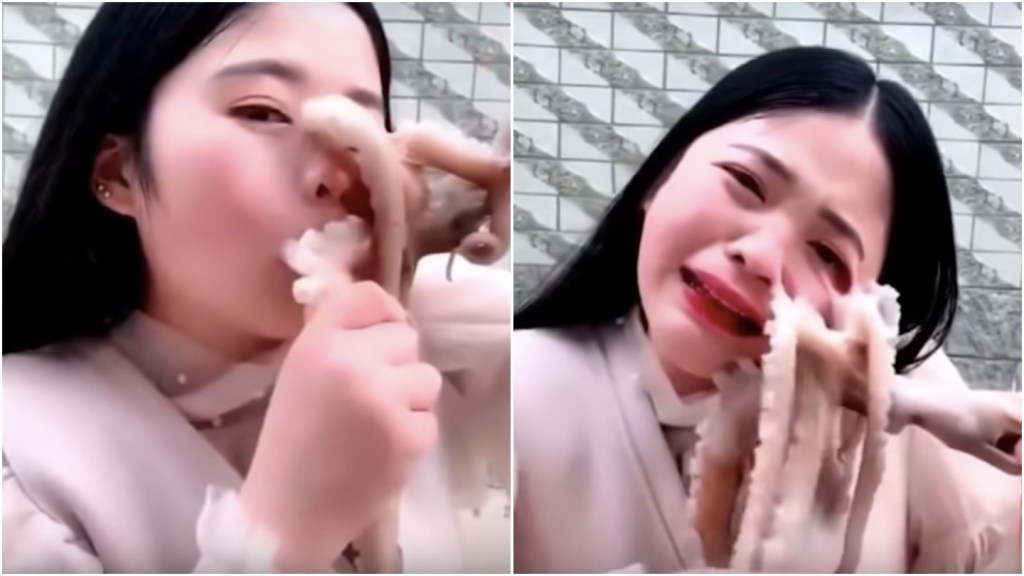 Mulher tenta comer polvo vivo, polvo tenta comer mulher viva