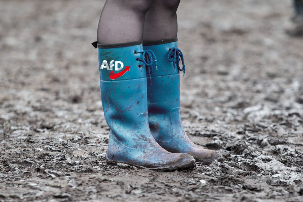In diesem Bundesland schickt die AfD Dutzende Rechtsextreme ins Rennen 