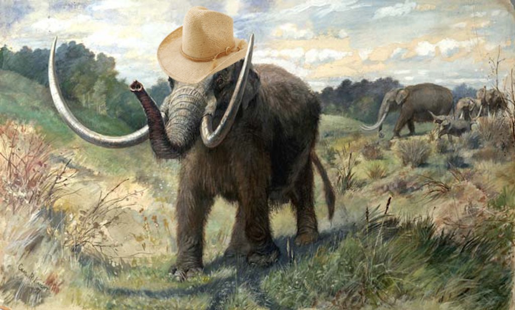 Teen Finds Second Mastodon Fossil on Iowa Farm in 30 Years