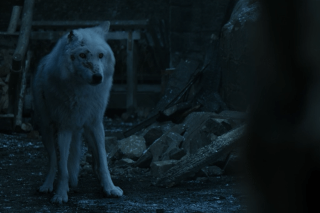 Ghost a fost singurul lucru bun din finalul „Game of Thrones”