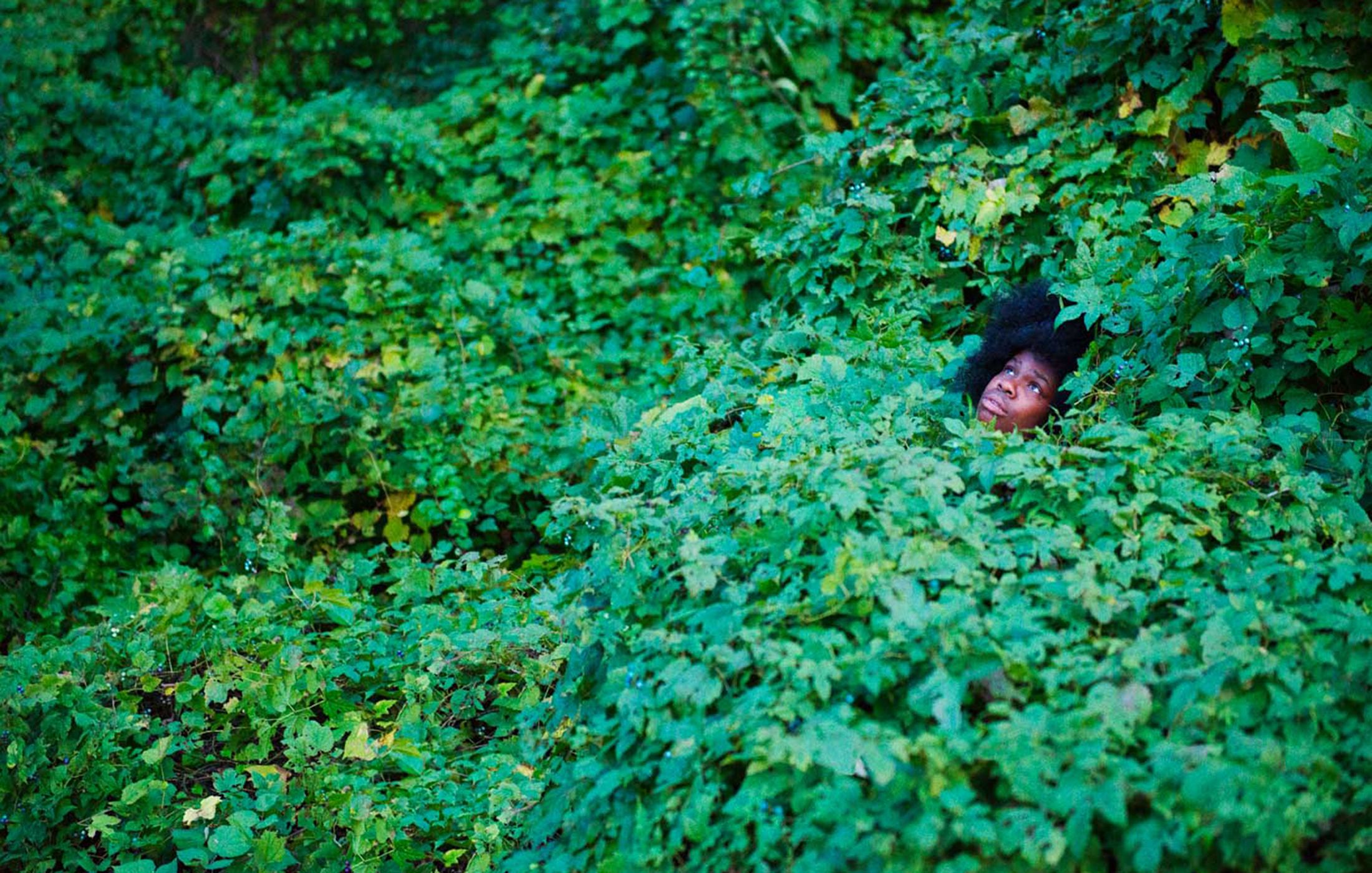 1559090074756-002_Ryan-McGinley