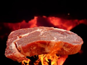 Kolkata beef festival cancelled