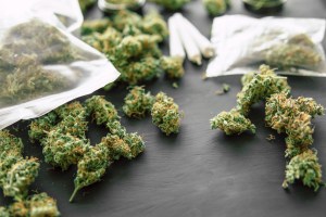 Police India seize weed