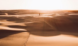 desert
