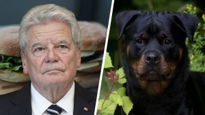 Ex-Bundespräsident Joachim Gauck vs. ängstlicher Rottweiler