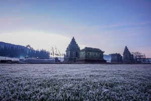 Muncul embun beku di dataran tinggi Dieng atau Semeru pada musim kemarau 2019
