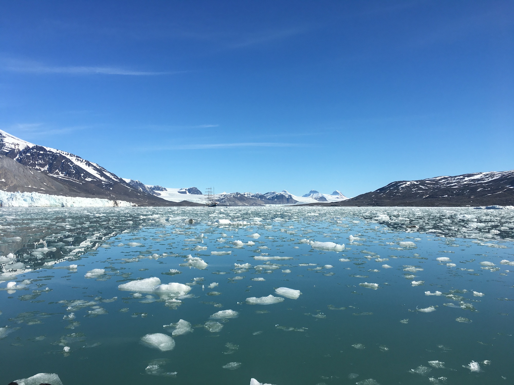 The melting ice
