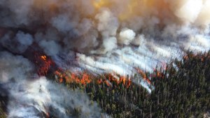 A Quarter of Climate Change References Disappeared From Government Websites Under Trump