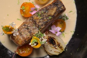 sea-bass-coconut-recipe