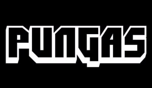 pungasshop logo