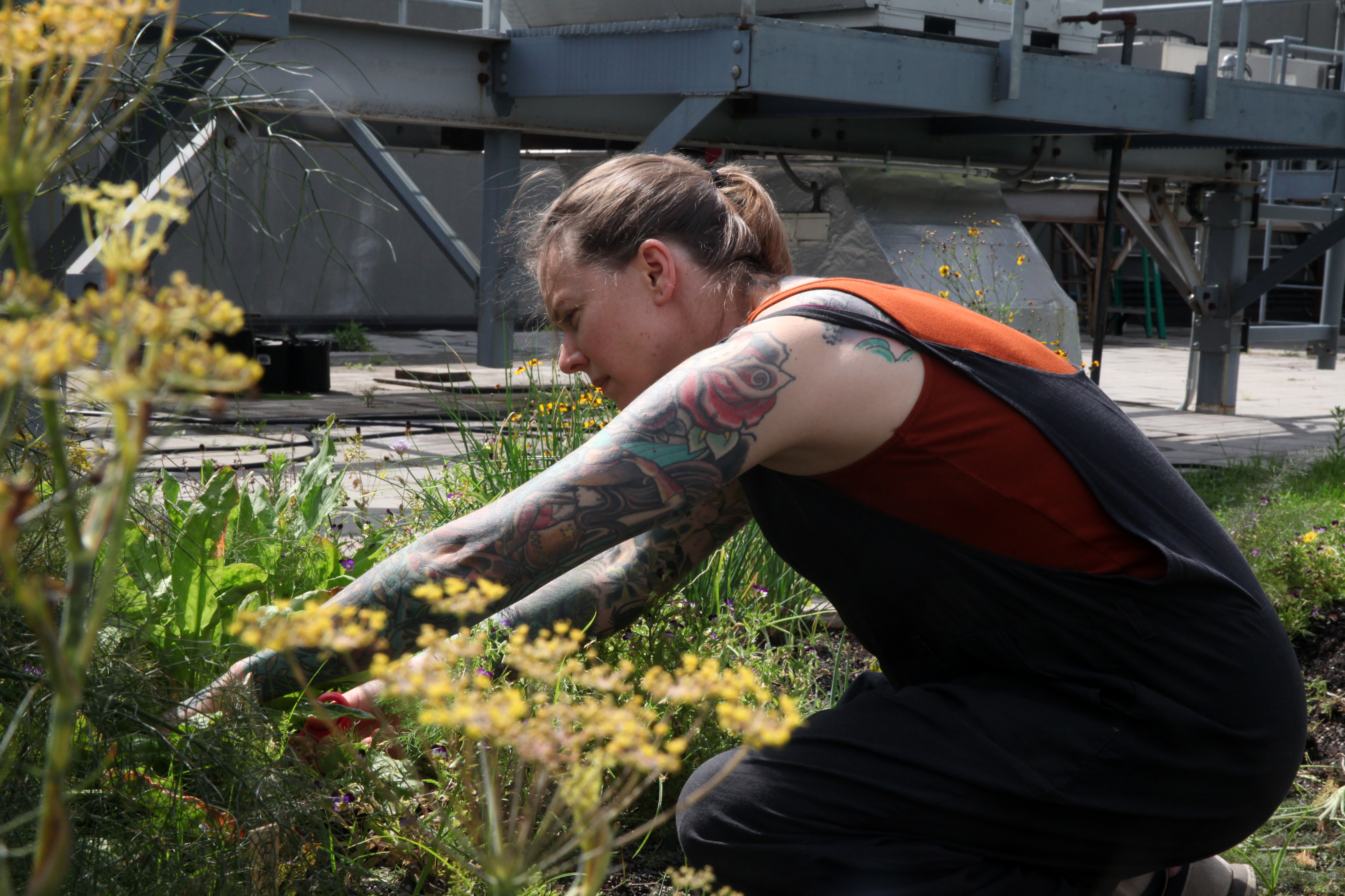 1569247140000-IMG_3314-chef-iliana-regan-elizabeth-milkweed-inn-munchies-garden