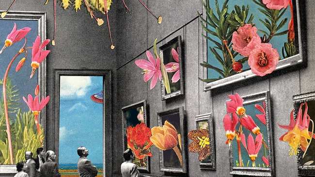 a new study finds shrooms boost creativity for up to a week