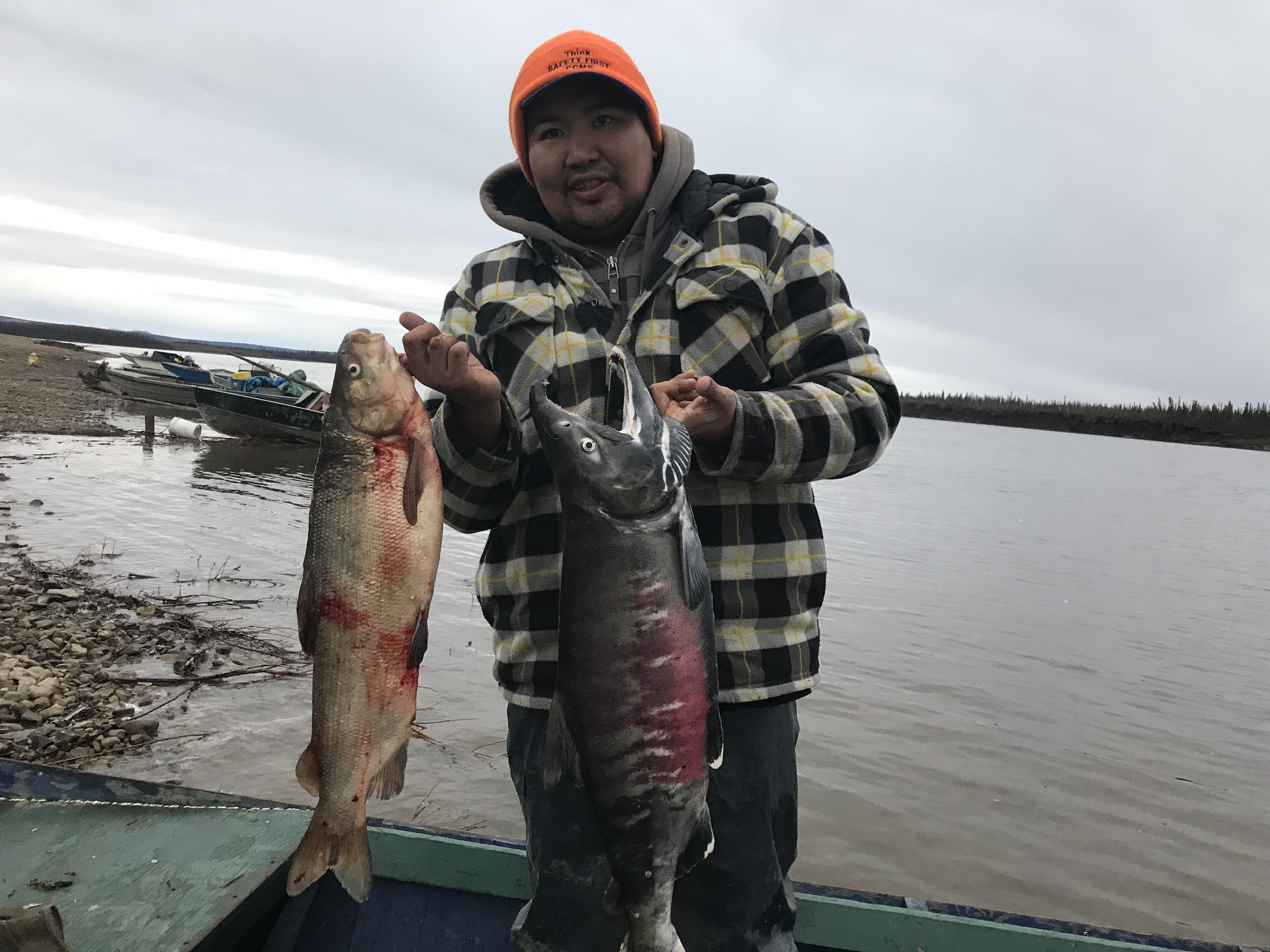Paul Josie holds up a large whitefish (left) and a chum salmon (right). Salmon used to spawn at 7-8 years but now they are seeing 3- to 5-year-olds.