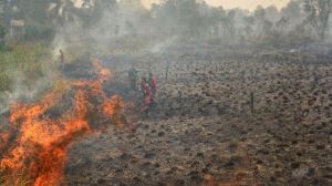 Warga Berburu Harta Karun Peninggalan Sriwijaya di Bekas Lahan yang Terbakar