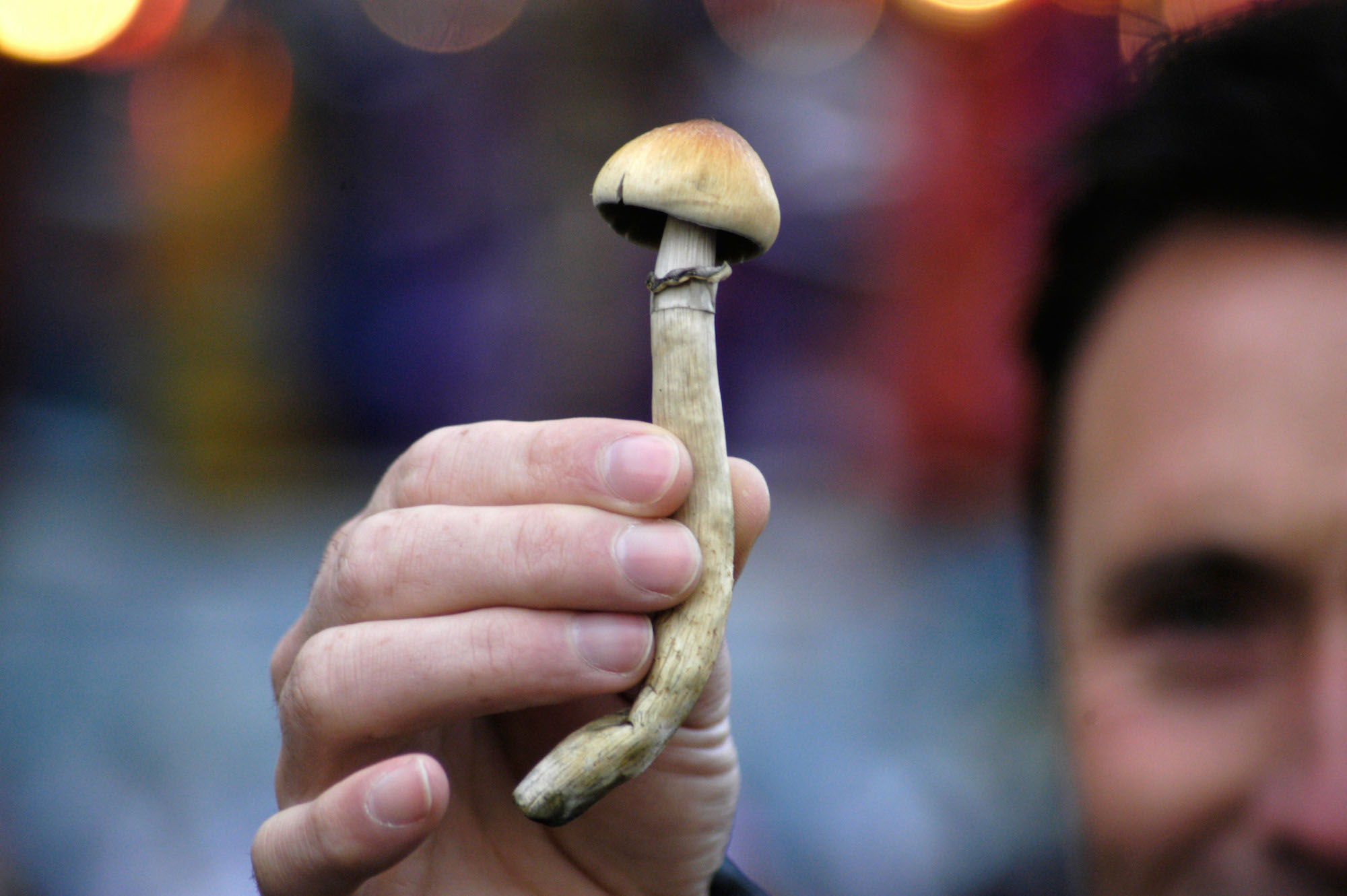 magic mushroom