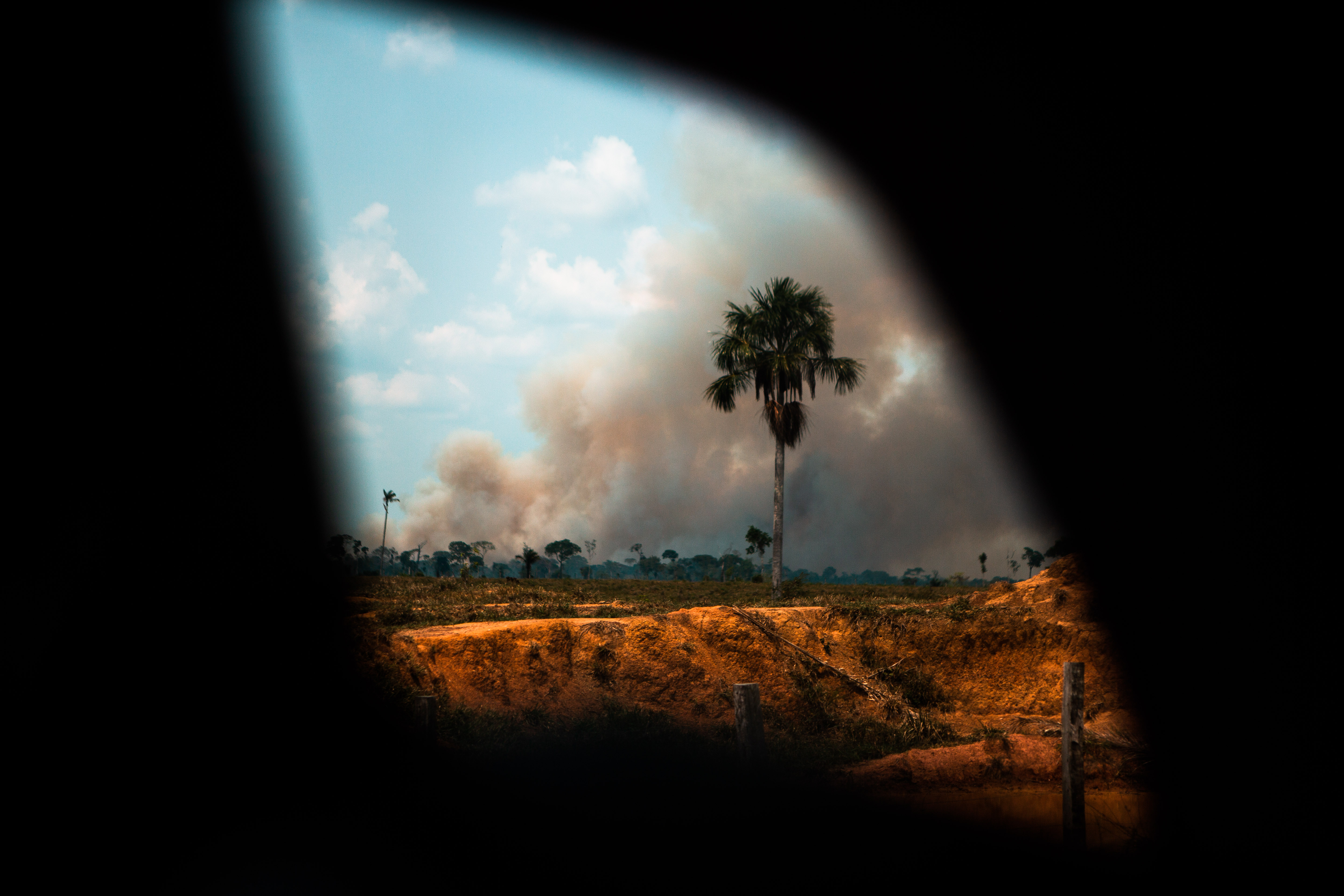 Ongoing fires in the Amazon