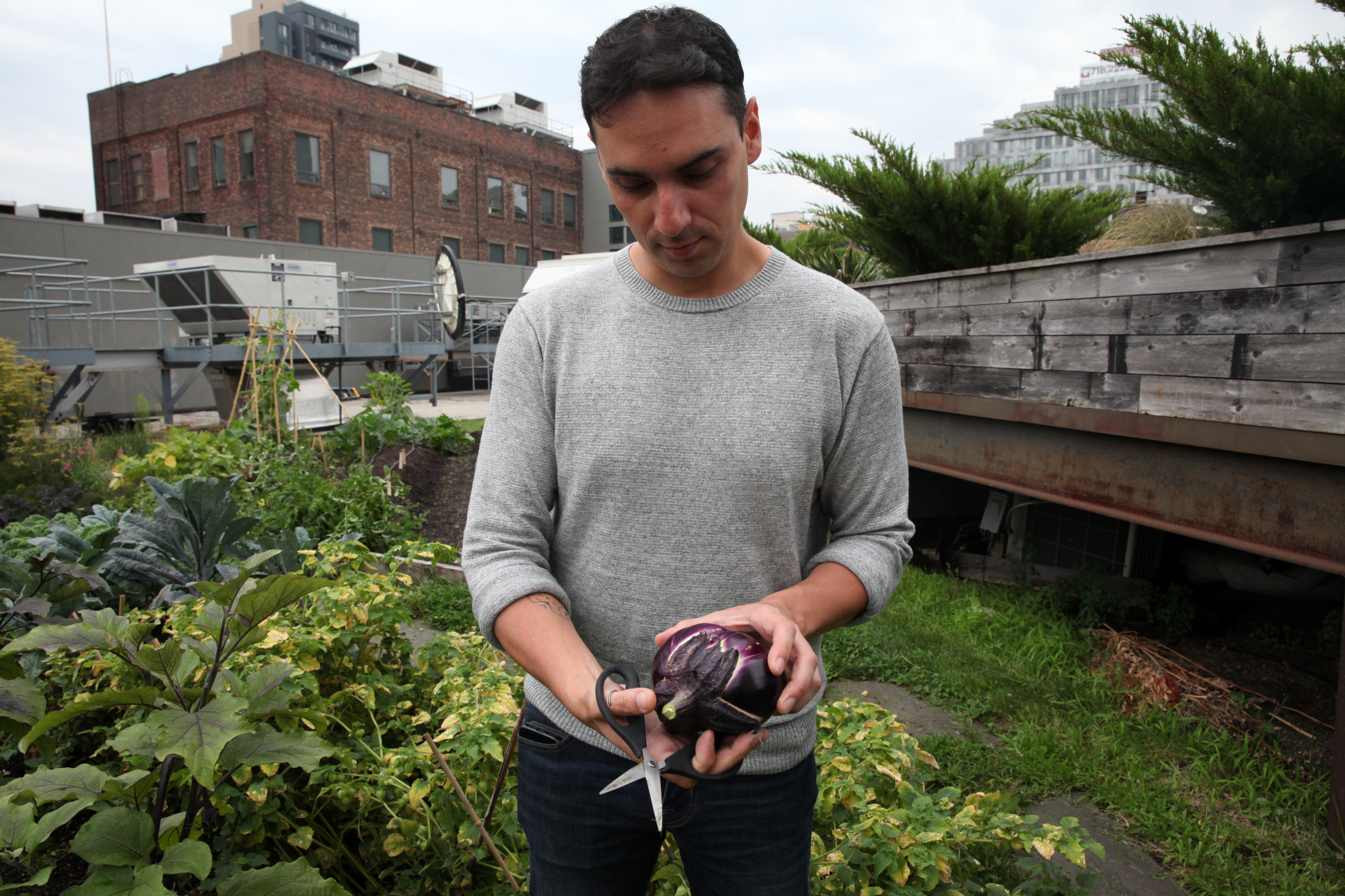 1571780701671-IMG_4174-chef-diego-moya-racines-nyc-munchies-rooftop-garden