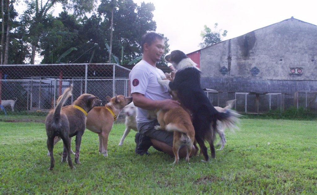 Ngobrol Bareng Lelaki yang Gigih Mengajak Masyarakat Minahasa Agar Tak Lagi Makan Anjing
