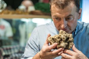 Tartufo bianco Alba cambiamento climatico