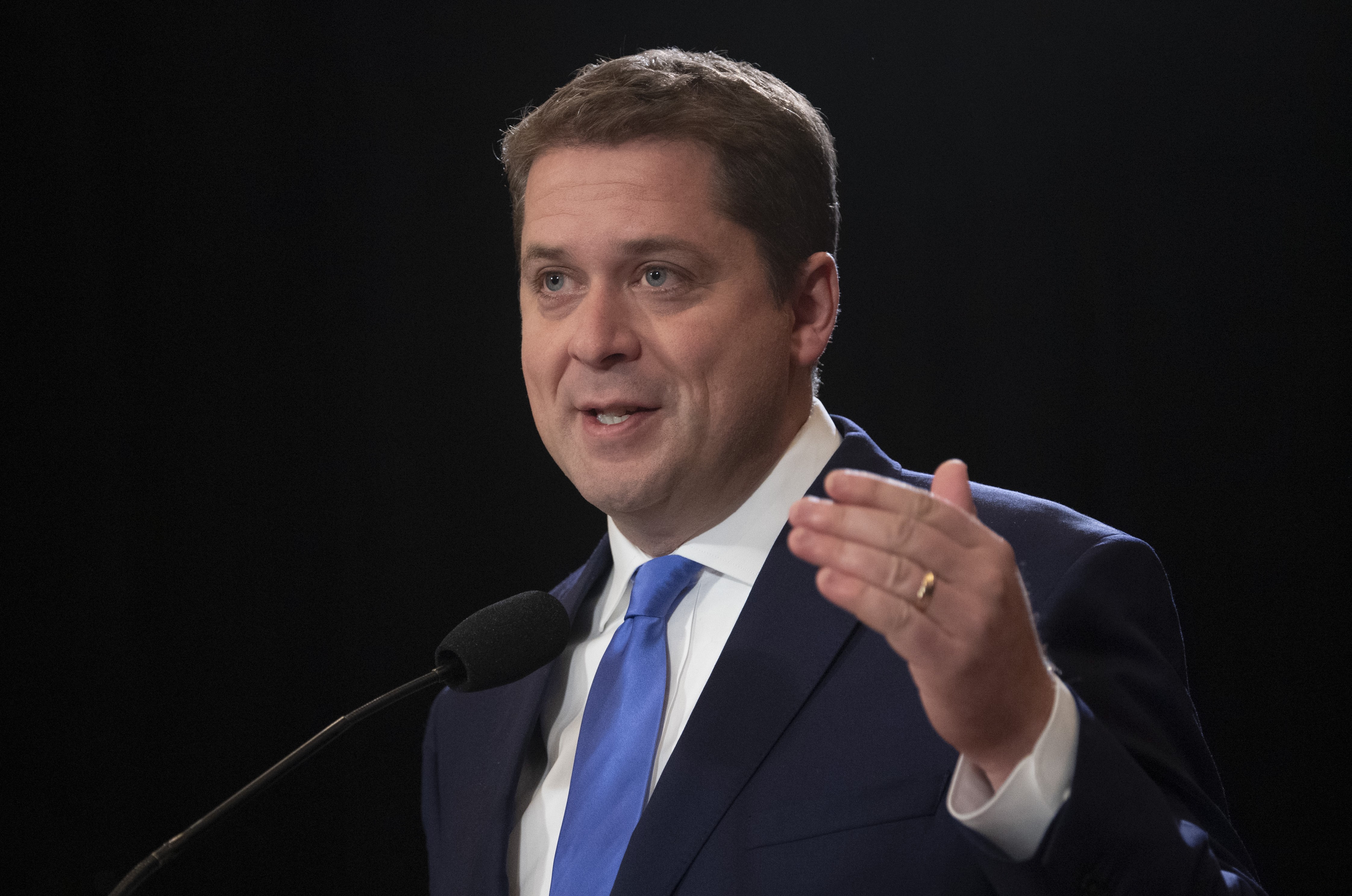 andrew scheer