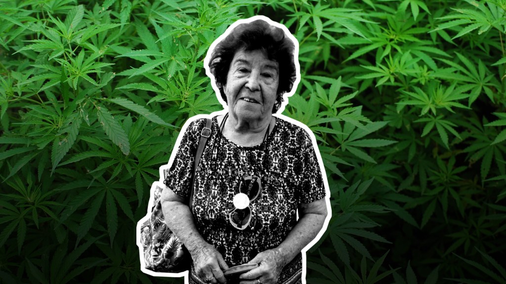 Spaniens legendäre “Gras-Oma” muss vielleicht ins Gefängnis