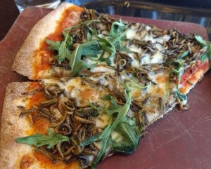 Google-Mealworm-Pizza