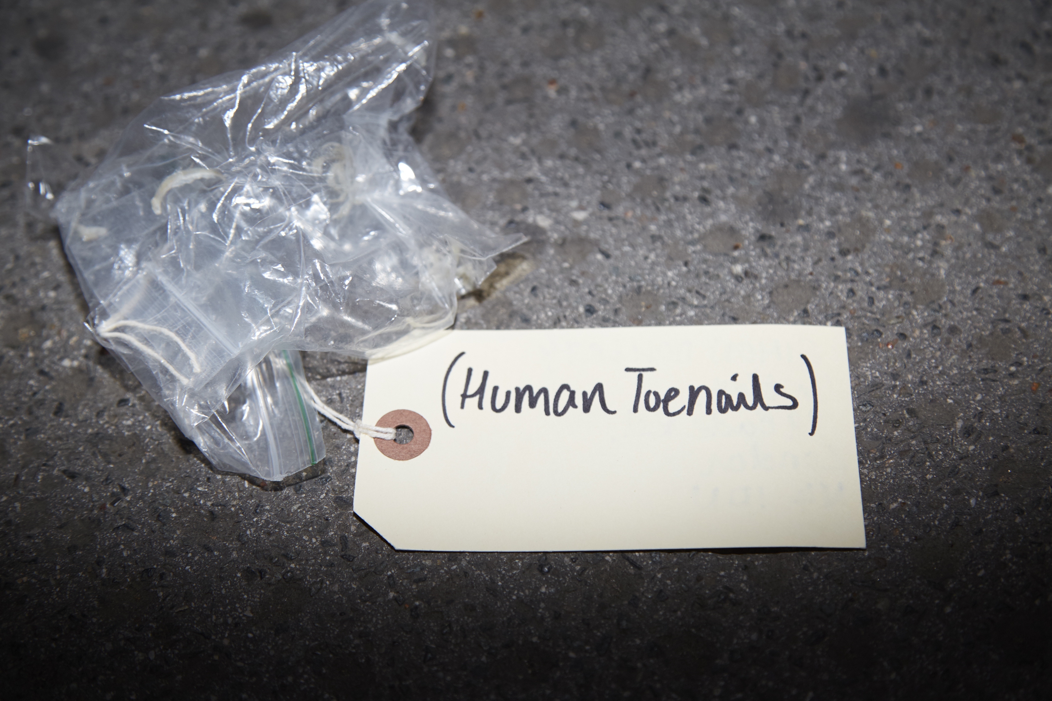 human toenails
