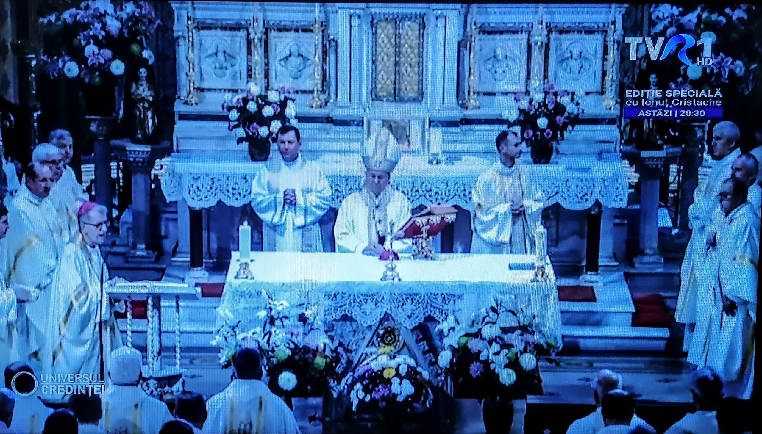 tvr alegeri romania tv