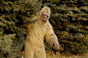 Lolongan Misterius Terekam di Video Viral, Konon Bukti Adanya Monster Hutan Amerika