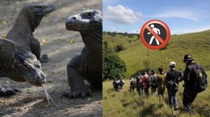 Gubernur Viktor Laiskodat Bilang NTT Hanya untuk Wisatawan Kaya, Turis Miskin Tak Boleh Datang