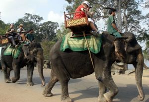 angkor wat elephant tourist​