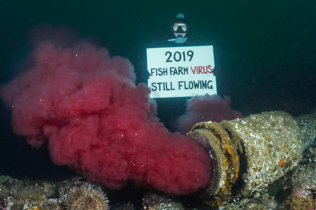 Esse cano está cuspindo sangue no mar há quase dois anos