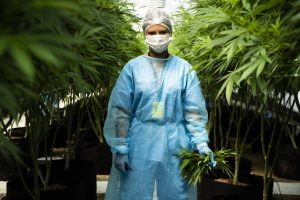 世界初の大麻合法国家・ウルグアイにみる、大麻合法化の未来
