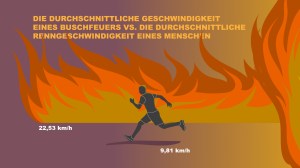 Die Buschbrände in Australien bewegen sich schneller fort als Menschen