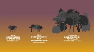 Bosbranden Australië