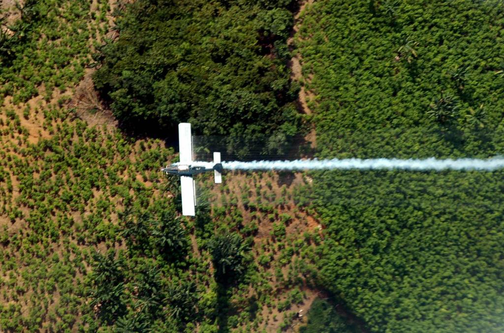 A Colômbia vai jogar glifosato em plantações de coca para impedir o mundo de usar drogas