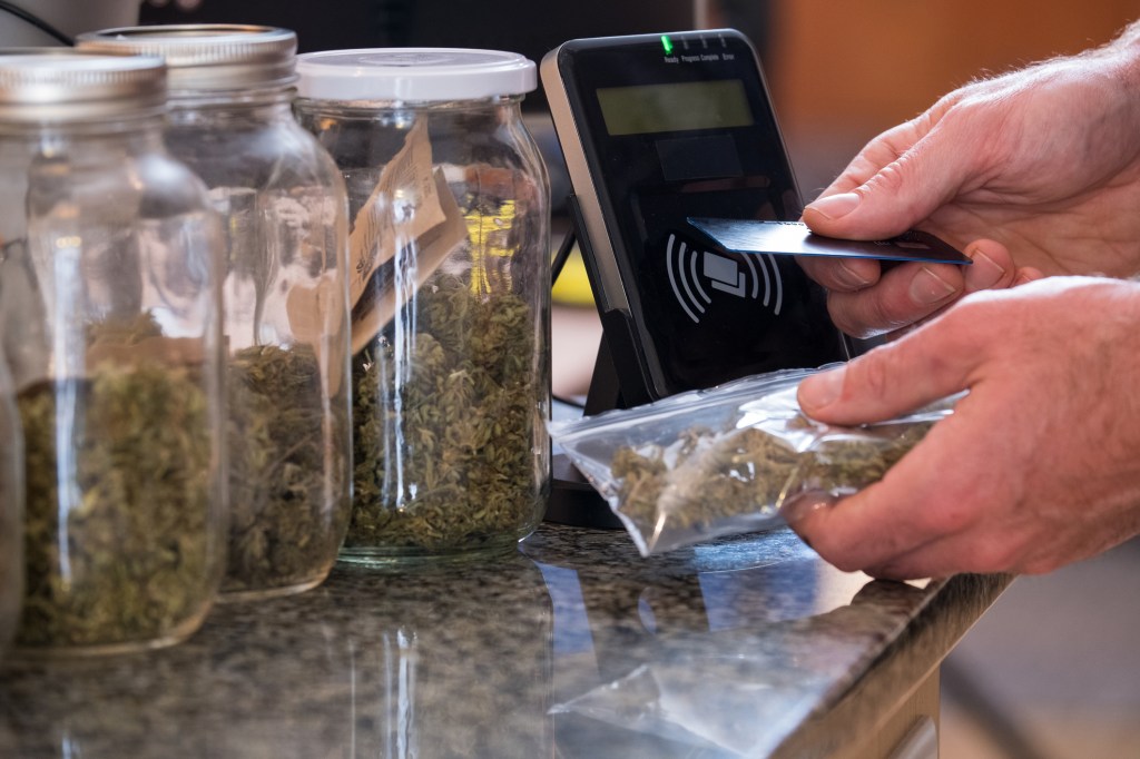 Research Casts Doubt on Cannabis as a Reliable Pain and Insomnia Treatment