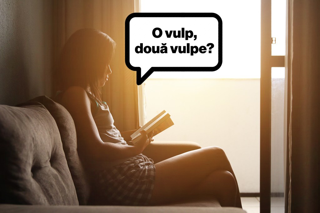 Cum a fost să învăț limba română ca siriană în București