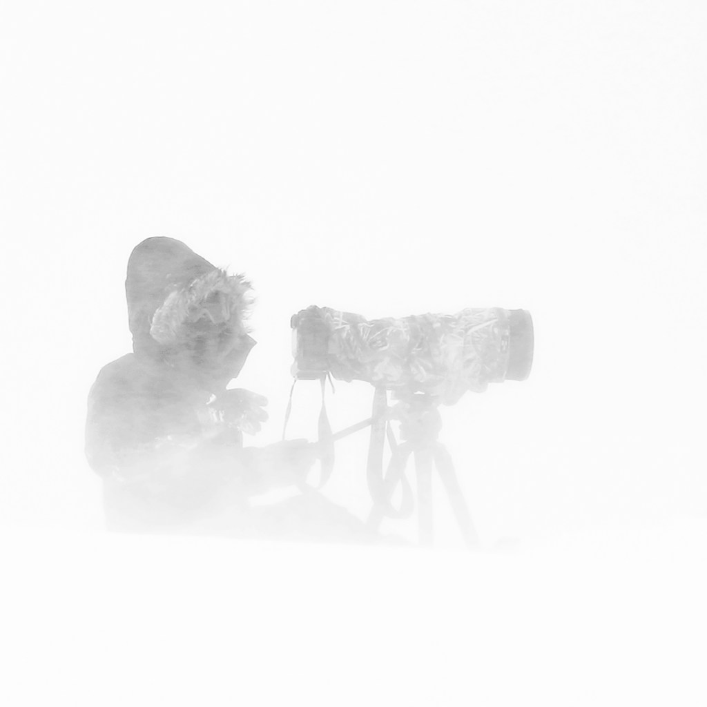 Mi solitaria vida como fotógrafo de animales salvajes