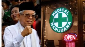 Ide Ekspor Ganja Medis Usulan Anggota DPR Asal Aceh Ditentang Wapres Ma'ruf Amin