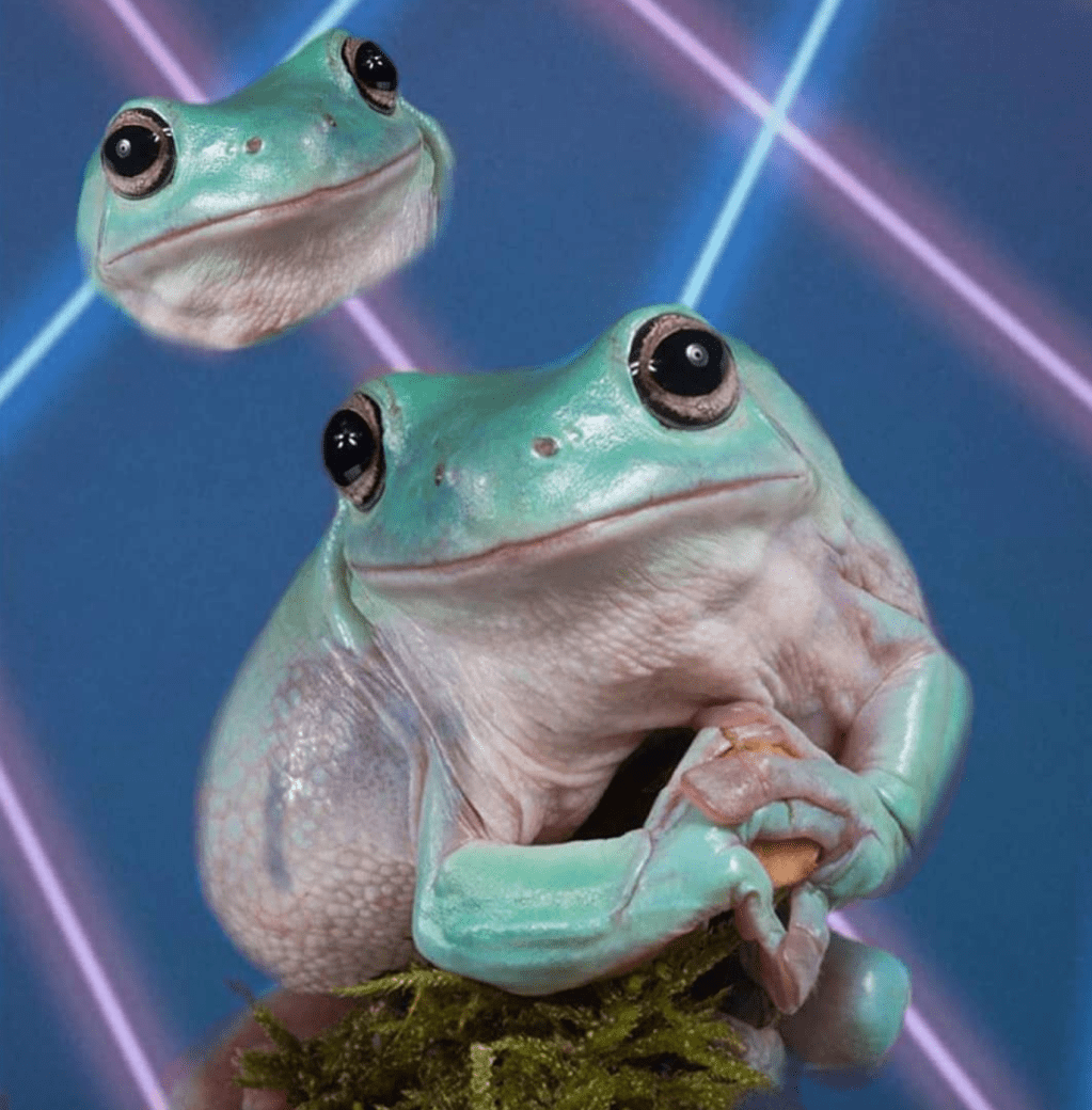 Exploring the confusing rise of frog posting on Instagram