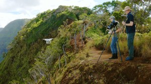 Pakar botani mengambil tumbuhan terancam punah di Hawaii