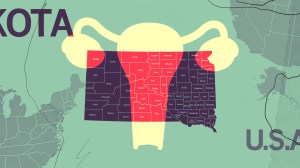 collage of south dakota map and a uterus