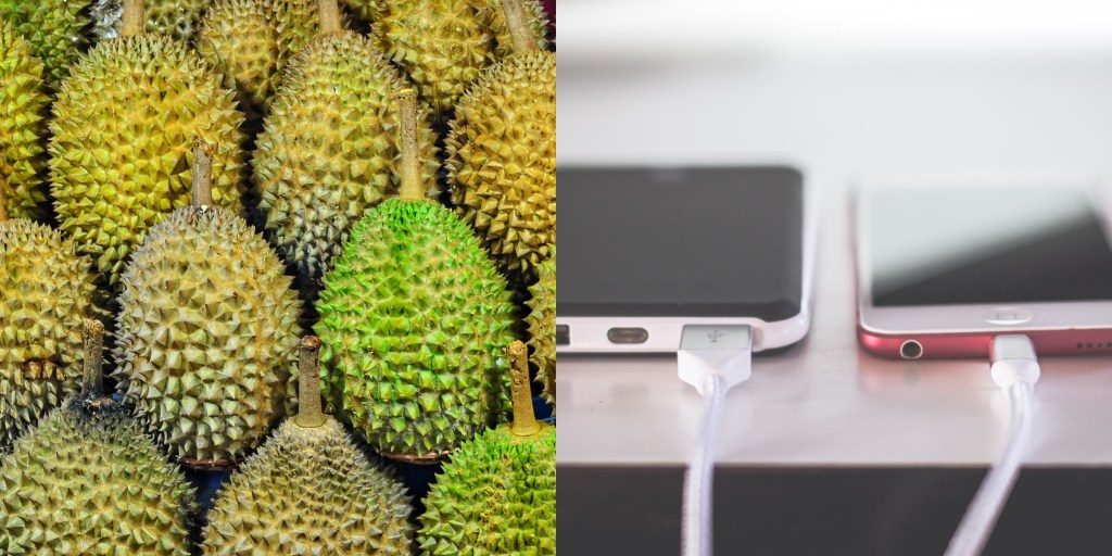 Ilmuwan Bilang Durian Dapat Menjadi Charger Ponsel Supercepat
