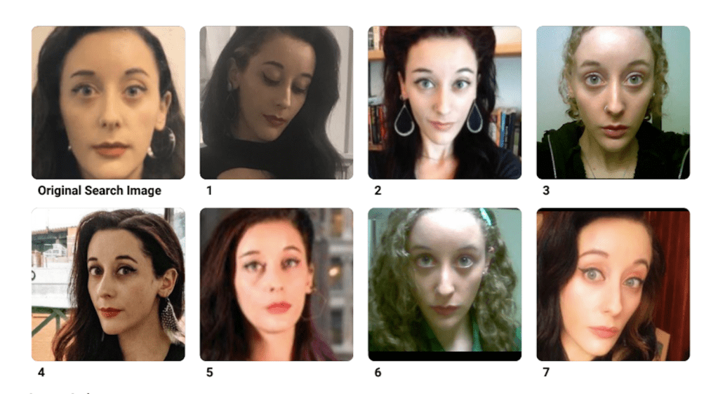 A grid of photos of Anna Merlan's face, shown from the shoulders up.