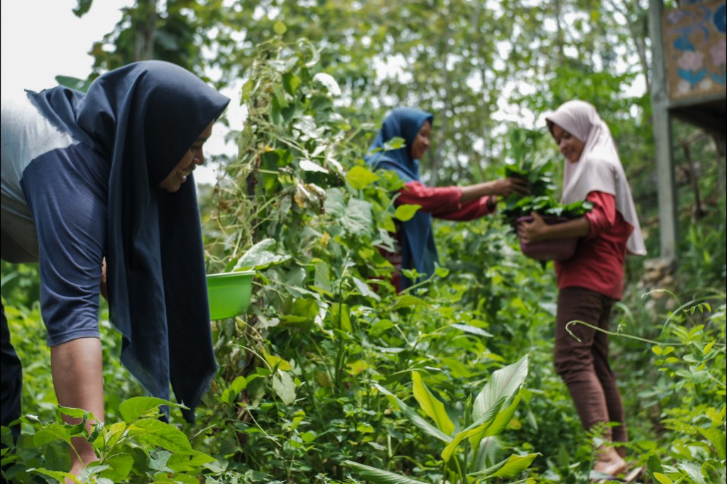 Sebuah Sekolah di Gunungkidul Mengajarkan Taktik Bertahan dari Bencana Iklim dan Pangan